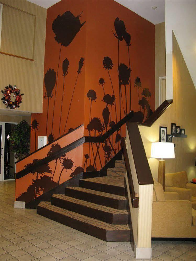 Sleep Inn Nashville Exterior photo